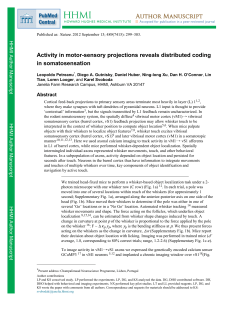 Activity in motor-sensory projections reveals