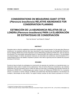 CONSIDERATIONS ON MEASURING GIANT OTTER (Pteronura