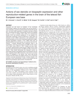 Actions of sex steroids on kisspeptin expression and other