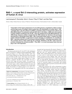 BAG-1, a novel Bcl-2-interacting protein, activates expression of