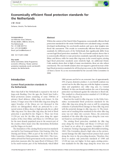 Economically efficient flood protection standards for the