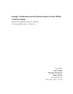 Strategic Considerations for the Potential Acquirer of Assets Within