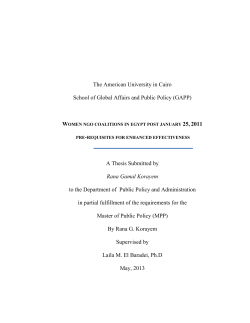 Chapter 4— The Context for Egyptian Women