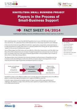 Players in the Process of Small-Business Support