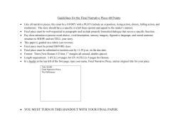 Guidelines for the Final Narrative Piece