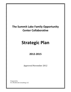Strategic Plan - Reach Opportunity Center at Summit Lake