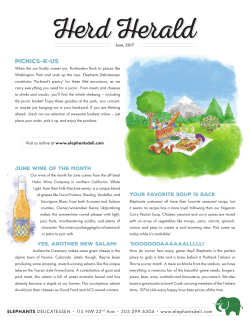 Picnics-R-us - Elephants Delicatessen