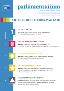 A BRIEF GUIDE TO THE ROLE PLAY GAME