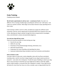 Crate Training - West Side Pet Clinic