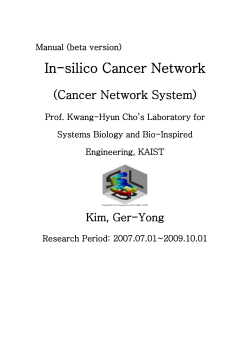 Manual (beta version)