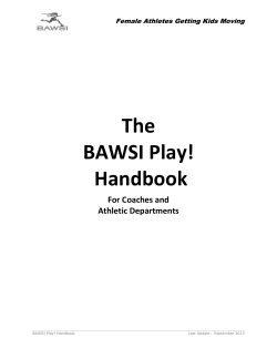 The BAWSI Play! Handbook