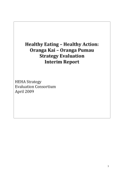 4. HEHA Strategy Evaluation