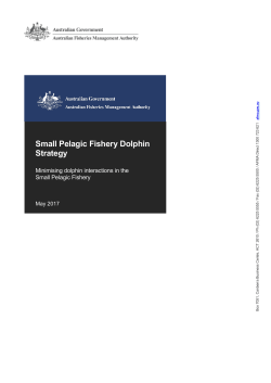 Small Pelagic Fishery Dolphin Mitigation Strategy