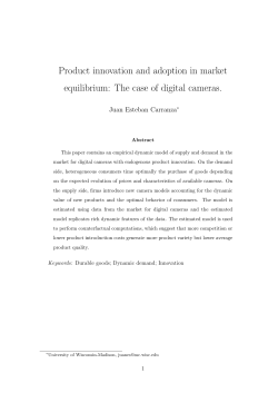 Product innovation and adoption in market equilibrium: The case of