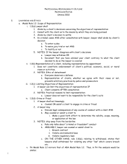 professional responsibility outline