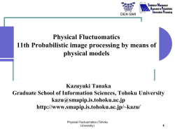 Physical Fluctuomatics / Applied Stochastic