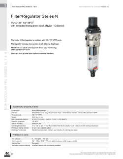1 Filter/Regulator Series N