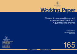 The credit crunch and firm growth in the euro area