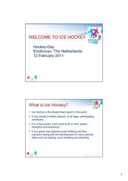 WELCOME TO ICE HOCKEY What is Ice Hockey?