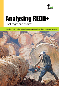 Analysing REDD+ - Center for International Forestry Research