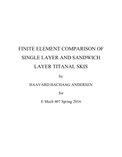 Design Project Report