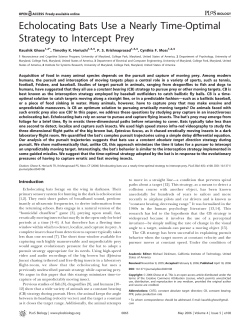 Echolocating Bats Use a Nearly Time