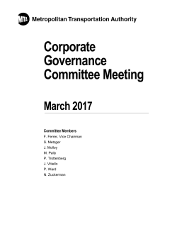 Corporate Governance Committee Meeting
