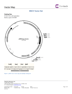 MSCV Vector Set Vector Map - Clontech Laboratories, Inc.