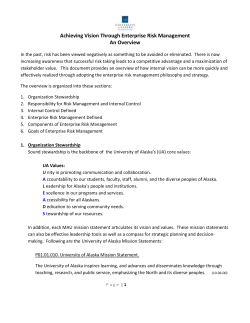 Achieving Vision through Enterprise Risk Management