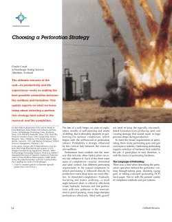 Choosing a Perforation Strategy- Disk 2