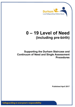 0-19 Level of Need Threshold Document