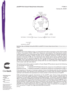 pAcGFP1-N In-Fusion® Ready Vector Information