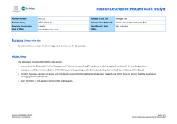 Position Description: Risk and Audit Analyst