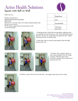 Squats with Ball on Wall - Active Health Solutions
