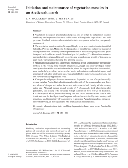 Initiation and maintenance of vegetation mosaics in