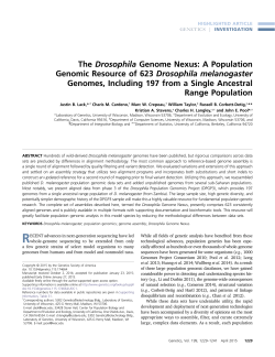 The Drosophila Genome Nexus: A Population Genomic