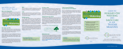Assigned-Day Watering Lawn Care Truckee Meadows