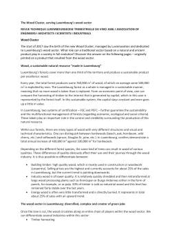 The Wood Cluster, serving Luxembourg`s wood