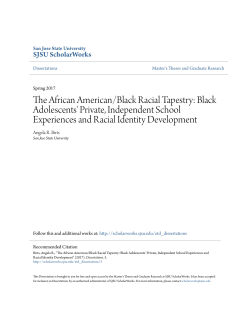 The African American/Black Racial Tapestry