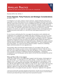 Cross-Appeals: Party Postures and Strategic Considerations