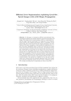 Efficient Liver Segmentation exploiting Level-Set Speed
