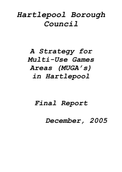 Strategy for Multi-Use Games Areas, 2006