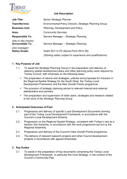 SNR Strategic Planner job description