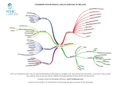 TEAMWORK WITHIN MENTAL HEALTH SERVICES IN IRELAND