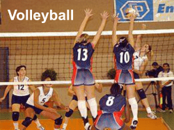 Volleyball - WordPress.com