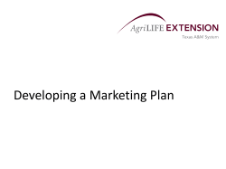 Developing a Marketing Plan