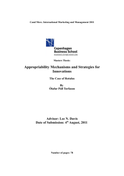 Appropriability Mechanisms and Strategies for Innovations