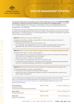 Dispute Management Strategy