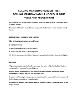 rolling meadows park district rolling meadows adult hockey league