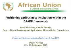 Mark Kofi Fynn Presentation